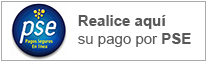 pago pse